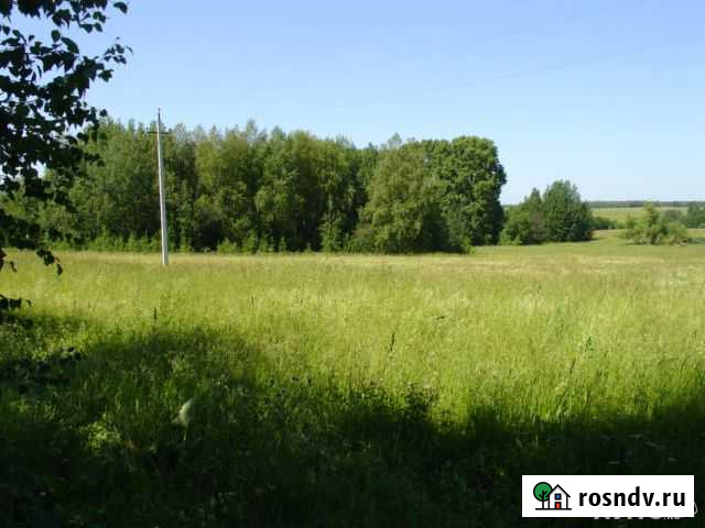 Участок ИЖС 199 сот. на продажу в Очере Очер - изображение 1