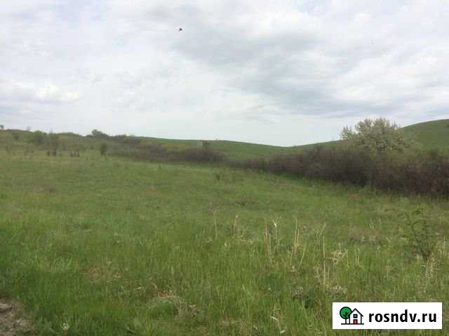 Участок СНТ, ДНП 640 сот. в аренду в Белогорске Республики Крым Белогорск - изображение 1