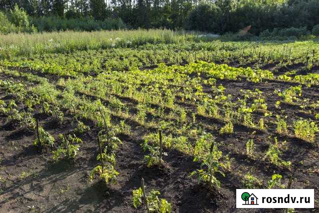 Участок СНТ, ДНП 8 сот. на продажу в Строителе Белгородской области Строитель - изображение 1