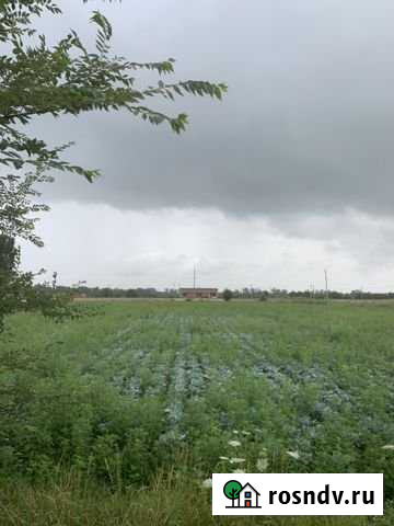 Участок промназначения 160 сот. на продажу в Тбилисской Тбилисская - изображение 1