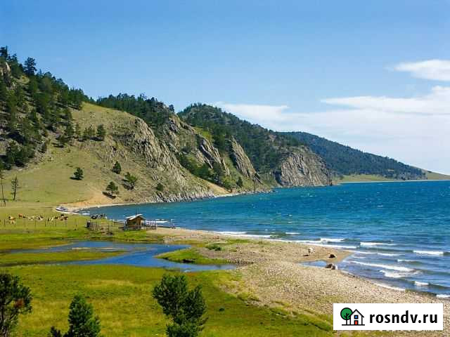 Участок ИЖС 12 сот. на продажу в Еланцах Еланцы - изображение 1