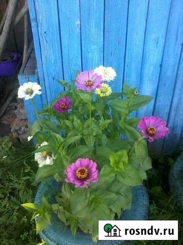 Дом 56 м² на участке 10 сот. на продажу в Гурьевске Кемеровской области Гурьевск - изображение 1