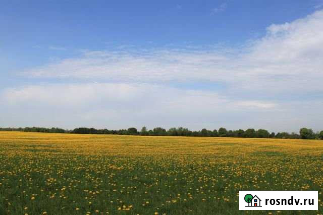 Участок СНТ, ДНП 8 сот. на продажу в Красном Селе Красное Село - изображение 1