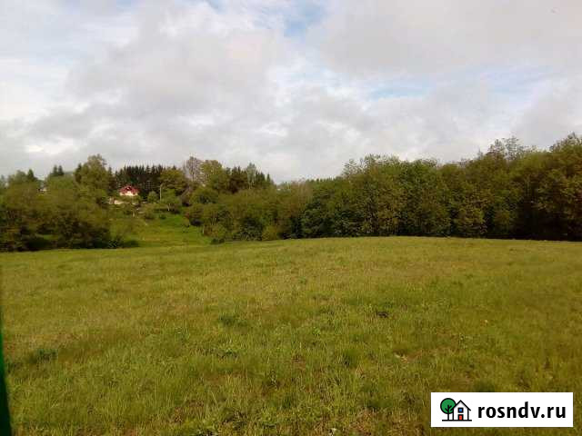 Участок СНТ, ДНП 350 сот. на продажу в Волхове Волхов - изображение 1