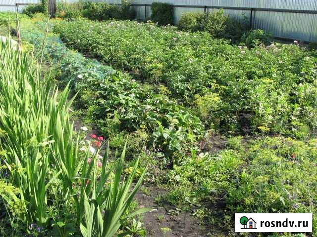 Участок СНТ, ДНП 8 сот. на продажу в Большом Истоке Большой Исток - изображение 1