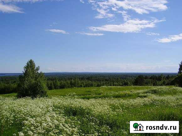 Участок СНТ, ДНП 2400 сот. на продажу в Пиндушах Пиндуши - изображение 1