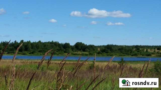 Участок СНТ, ДНП 260 сот. на продажу в Мышкине Мышкин - изображение 1