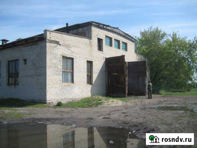 Участок СНТ, ДНП 1460000 сот. на продажу в Катайске Катайск - изображение 1