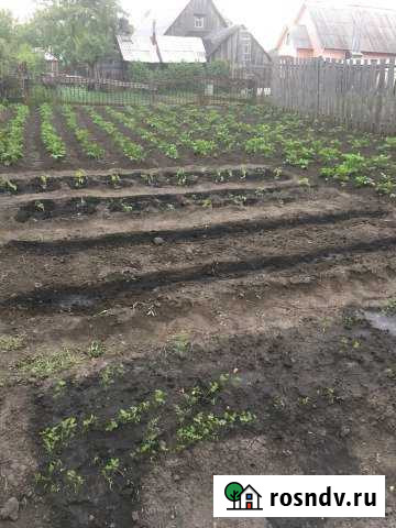 Дом 40 м² на участке 6 сот. на продажу в Сасово Сасово - изображение 1