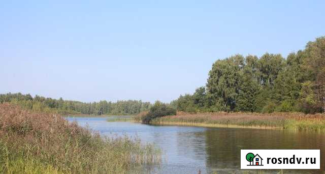 Участок ИЖС 32 сот. на продажу в Пироговском Пироговский - изображение 1