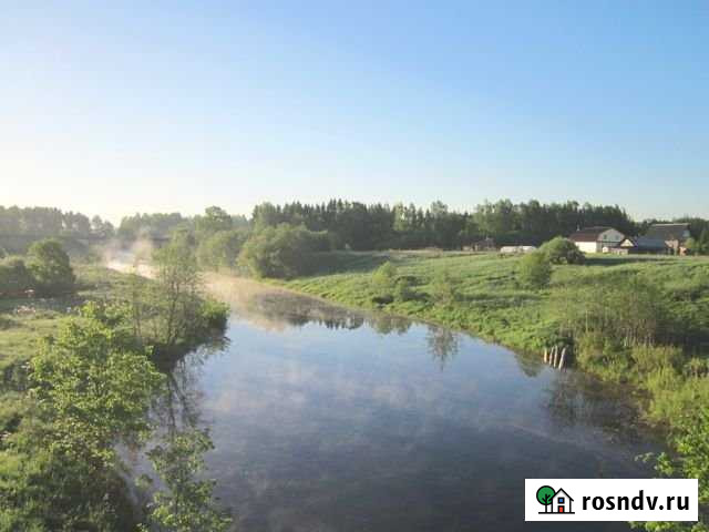 Участок СНТ, ДНП 976 сот. на продажу в Чудово Чудово - изображение 1