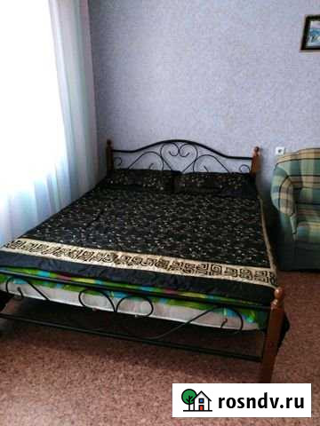 1-комнатная квартира, 45 м², 5/10 эт. в аренду посуточно в Тобольске Тобольск - изображение 1