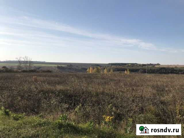 Участок ИЖС 1 сот. на продажу в Черницыно Черницыно - изображение 1