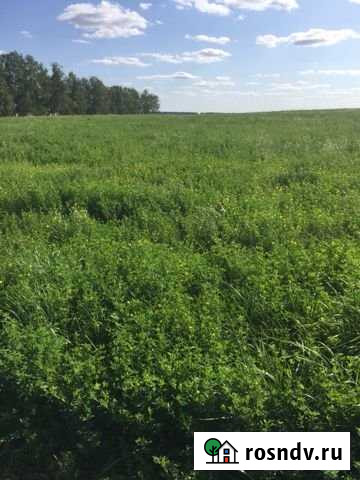 Участок СНТ, ДНП 3200 сот. на продажу в Рязани Рязань - изображение 1