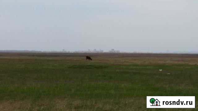 Участок СНТ, ДНП 900 сот. в аренду в Аксае Ростовской области Аксай - изображение 1