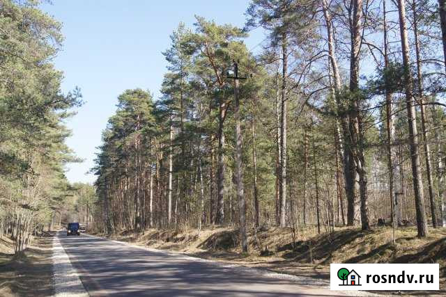 Участок ИЖС 150 сот. на продажу в Лебяжьем Ленинградской области Лебяжье - изображение 1