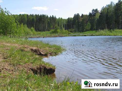 Участок СНТ, ДНП 300 сот. на продажу в Верхнем Дуброво Верхнее Дуброво - изображение 1