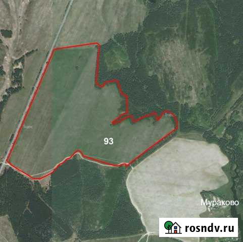 Участок СНТ, ДНП 9333 сот. на продажу в Гороховце Гороховец - изображение 1