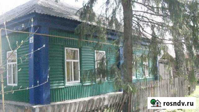 Дом 52 м² на участке 30 сот. на продажу в Грибановском Грибановский - изображение 1