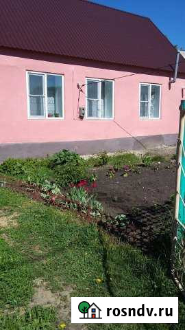 Дом 50 м² на участке 40 сот. на продажу в Ливнах Ливны - изображение 1