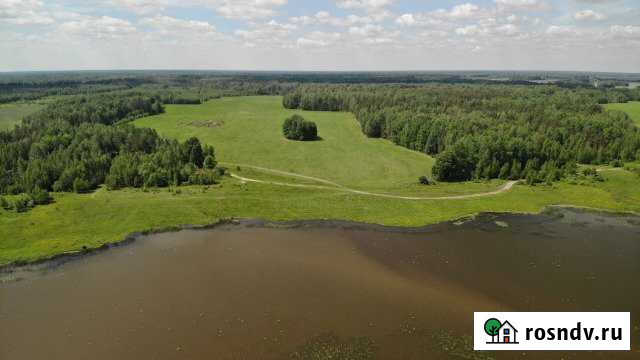 Участок СНТ, ДНП 3200 сот. на продажу в Клетне Клетня - изображение 1