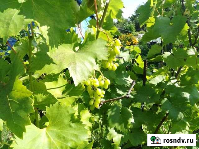 Дача 20 м² на участке 7 сот. на продажу в Орле Орёл - изображение 1