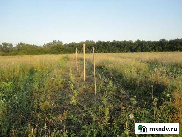 Участок СНТ, ДНП 100 сот. на продажу в Григорьевской Григорьевская - изображение 1