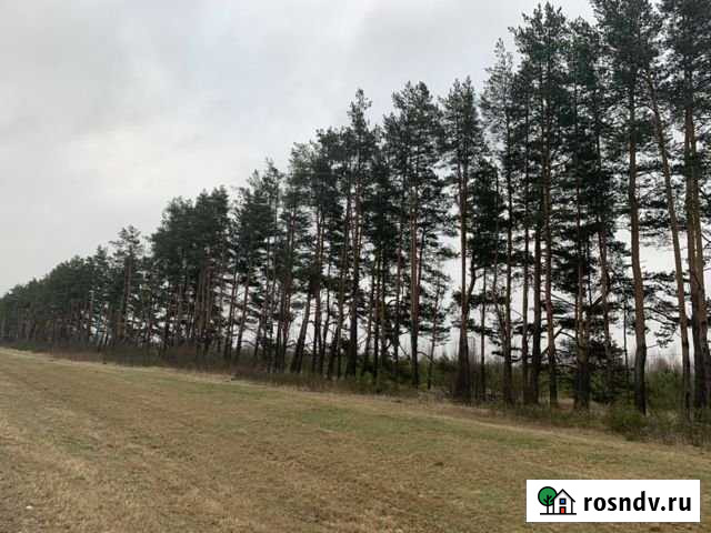 Участок ИЖС 10 сот. на продажу в Некрасовском Ярославской области Некрасовское - изображение 1