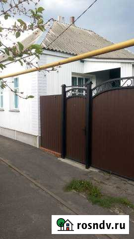 Дом 45 м² на участке 11 сот. на продажу в Грайвороне Грайворон - изображение 1