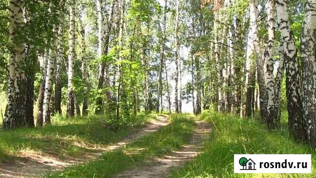 Дача 28 м² на участке 6 сот. на продажу в Ульяновске Ульяновск - изображение 1