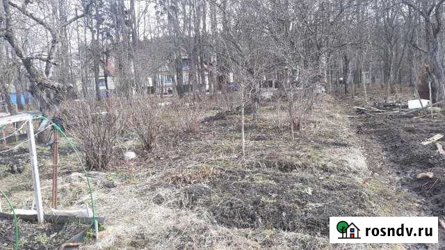 Участок СНТ, ДНП 4 сот. на продажу в Сланцах Сланцы - изображение 1