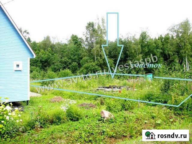 Участок СНТ, ДНП 14 сот. на продажу в Никольском Ленинградской области Никольское - изображение 1