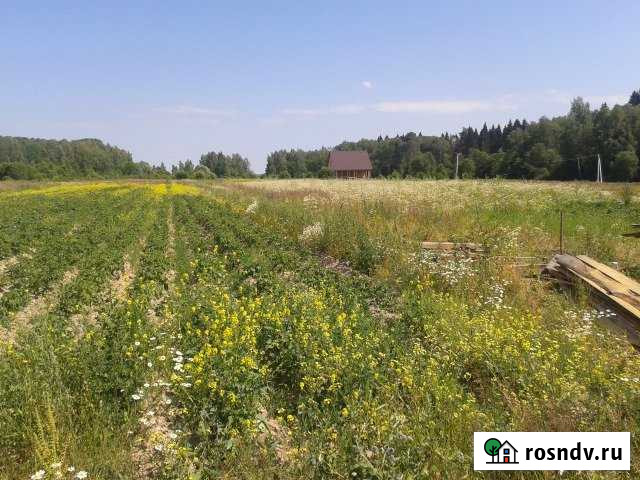 Участок ИЖС 28 сот. на продажу в Медыни Медынь - изображение 1