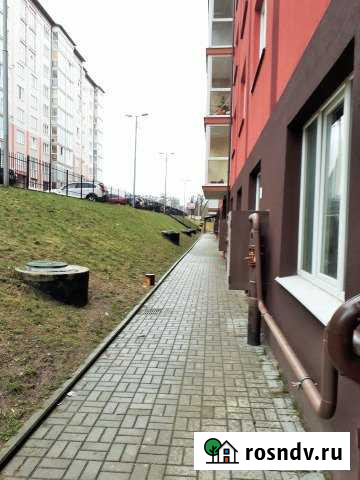 Помещение свободного назначения, 325 кв.м. Калининград - изображение 1