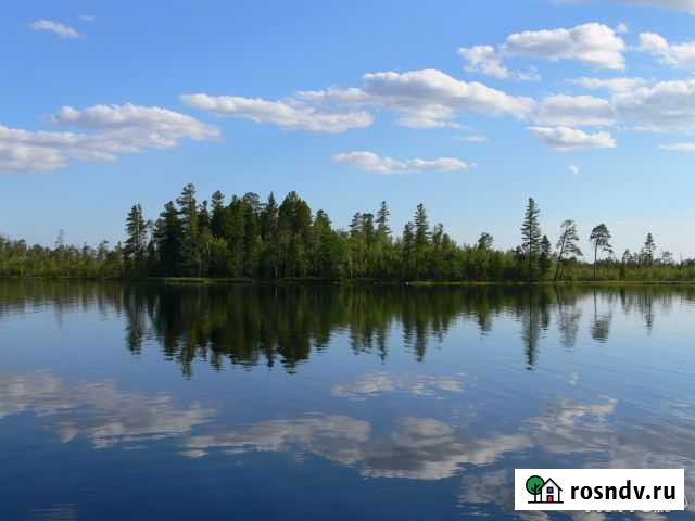 Участок ИЖС 24 сот. на продажу в Нижневартовске Нижневартовск - изображение 1