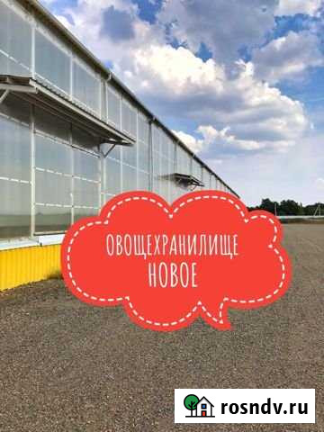 Овощехранилище с холодильными камерами Раздольная - изображение 1