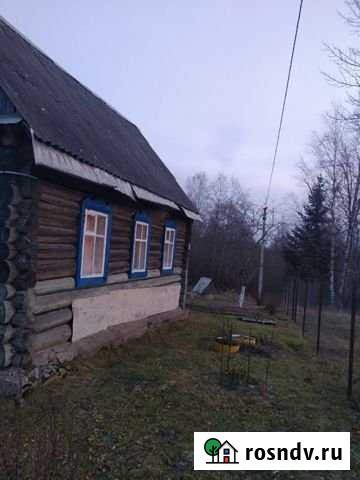 Дом 70 м² на участке 15 сот. на продажу в Стругах Красных Струги Красные - изображение 1