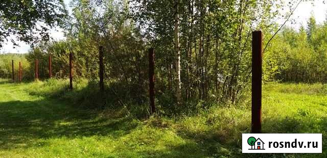 Участок СНТ, ДНП 21 сот. на продажу в Будогощи Будогощь - изображение 1