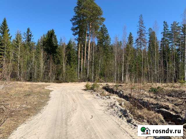 Участок СНТ, ДНП 5 сот. на продажу в Новой Ладоге Новая Ладога - изображение 1