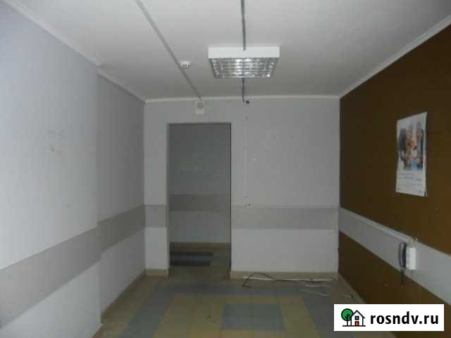 Помещение свободного назначения, 355.6 кв.м. Балашиха - изображение 1