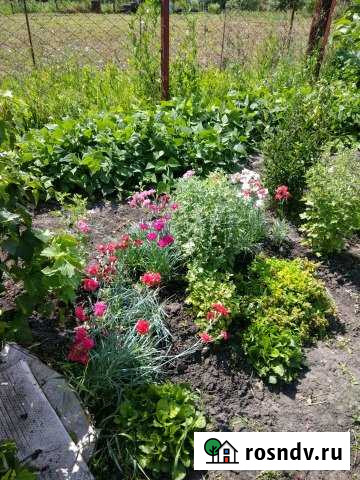 Участок СНТ, ДНП 5 сот. на продажу в Барнауле Барнаул - изображение 1