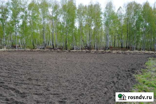 Участок СНТ, ДНП 12 сот. на продажу в Сокуре Сокур - изображение 1