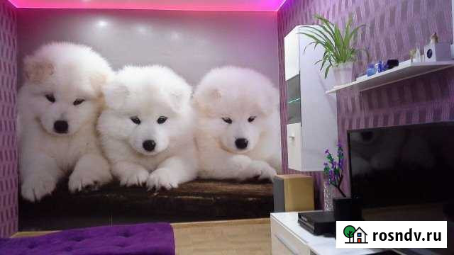 3-комнатная квартира, 75 м², 2/5 эт. в аренду посуточно в Кировске Мурманской области Кировск - изображение 1