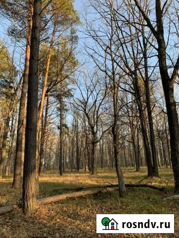 Участок ИЖС 12 сот. на продажу в Заречном Пензенской области Заречный - изображение 1