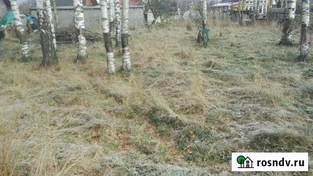 Участок СНТ, ДНП 8 сот. на продажу в Красном Селе Красное Село - изображение 1