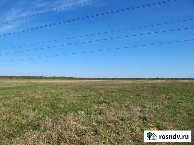 Участок СНТ, ДНП 18200 сот. на продажу в Раменском Раменское - изображение 1