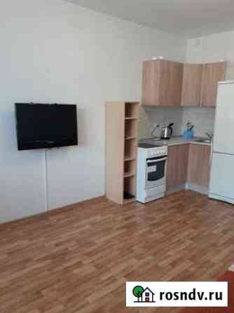 Квартира-студия, 28 м², 15/25 эт. в аренду посуточно в Кудрово Кудрово