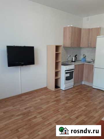 Квартира-студия, 28 м², 15/25 эт. в аренду посуточно в Кудрово Кудрово - изображение 1