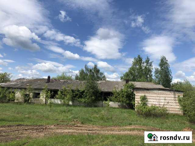 Участок СНТ, ДНП 50 сот. на продажу в Килемарах Килемары - изображение 1