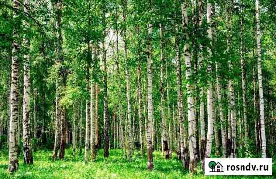 Участок СНТ, ДНП 13 сот. на продажу в Криводановке Криводановка